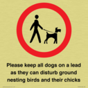 please-keep-all-dogs-on-a-lead-as-they-can-disturb-ground-nesting-birds-and-thei~
